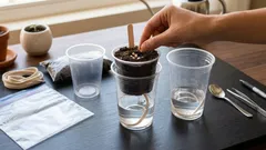 Så odlar du paprikaplantor dubbelt så snabbt: en avancerad metod som inte alla känner till