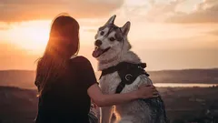 Människans trognaste vän: kan en hund glömma sin ägare?