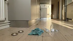 Kackerlackor trots ett rent hem? Knepet med bikarbonat och socker – och vanorna som avgör