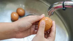 Måste man verkligen tvätta ägg innan man lägger dem i kylskåpet? Det här bör du veta.