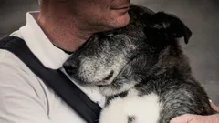 Kommer hunden ihåg sin ägare efter många års separation?