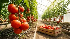 Forskare har upptäckt att stressade växter skriker – och insekter hör det