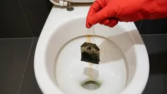 Du kommer att bli förvånad, men även ett sånt roligt husknep kan fungera.