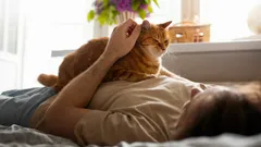 Din lilla fluffiga helare: varför kommer din katt till dig när du mår dåligt?