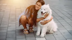 De vänligaste hundraserna för barnfamiljer – som verkligen älskar människor