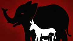 En intressant optisk illusion: hur många djur kan du hitta på den här bilden på 10 sekunder?